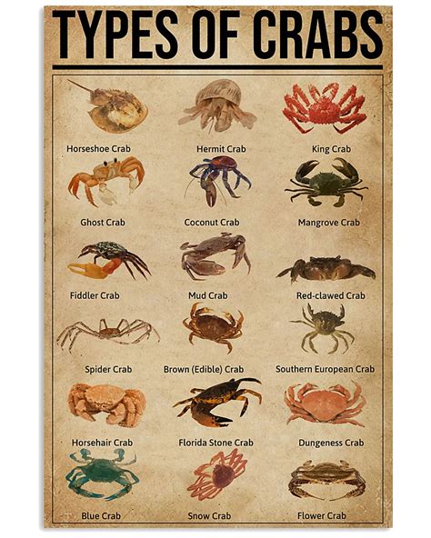 type of crap|Different Types of Crab (With Pictures) .